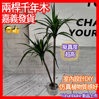 🔜免運費臺灣發貨🔜仿真植物 北歐模擬千年木 模擬巴西鐵 模擬龍血樹 室內外落地盆栽 盆景 假樹 假盆栽