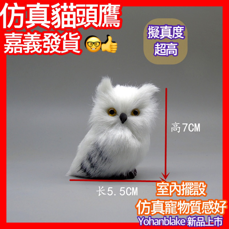 🦉仿真貓頭鷹🦉仿真夜鷹 擬真貓頭鷹 動物 小貓頭鷹 仿真皮毛動物 寵物模型 家居擺件小鳥