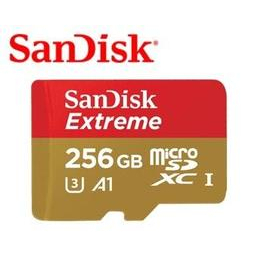 《Sunlike》◎公司貨 終身保固◎SanDisk Extreme U3 V30 A2 256G 256GB SDXC
