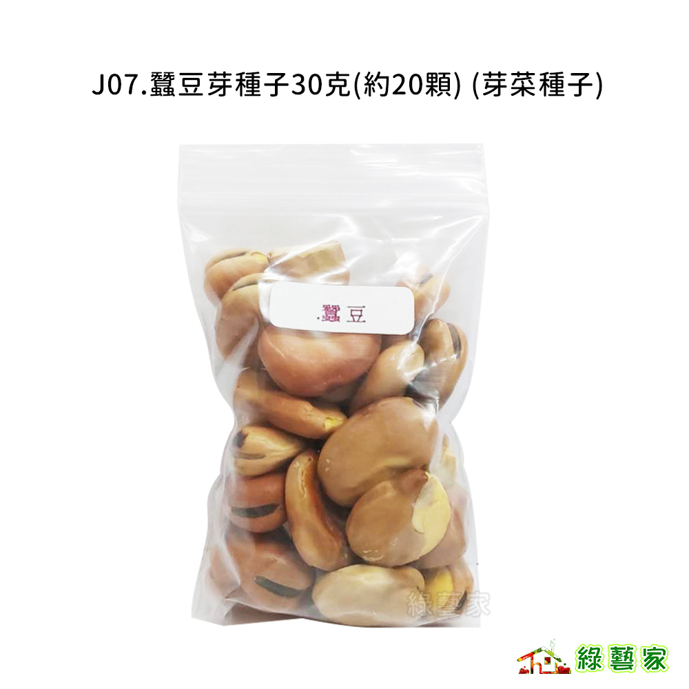 J07.蠶豆芽種子30克(約20顆)(芽菜種子)芽菜類種子【綠藝家】