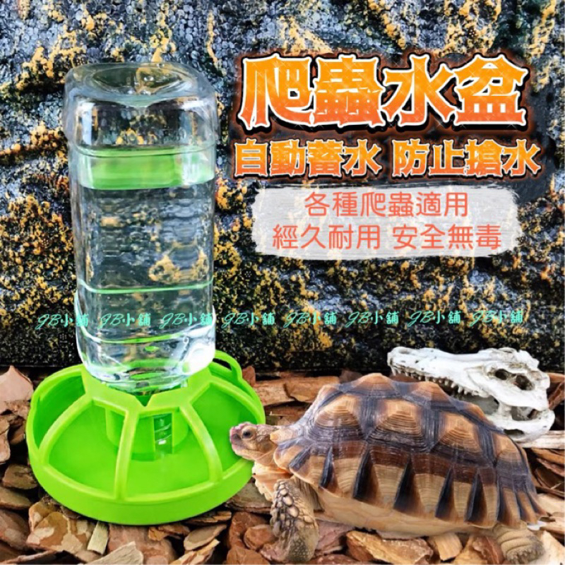 自動飲水器 烏龜 陸龜 爬蟲 餵水 水盆 喝水盤 角蛙 蜥蜴 蛇 鳥 蘆丁雞 餵食 飲水器