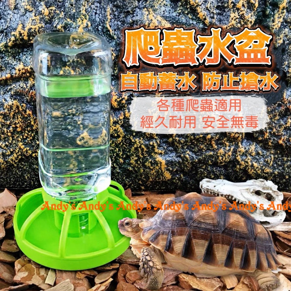 自動飲水器 烏龜 陸龜 爬蟲 餵水 水盆  喝水盤 角蛙 蜥蜴 蛇 鳥 蘆丁雞 餵食 飲水器 aaaaaaaaaaaaa