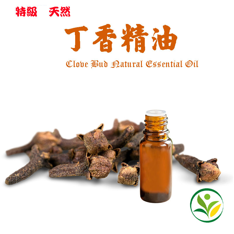 丁香精油 丁子香精油 頂級天然單方精油 Clove Bud Natural Essential Oil