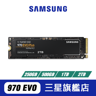 SAMSUNG三星 970 EVO Plus NVMe M.2 PCIe 固態硬碟 內接 250/500GB 1/2TB