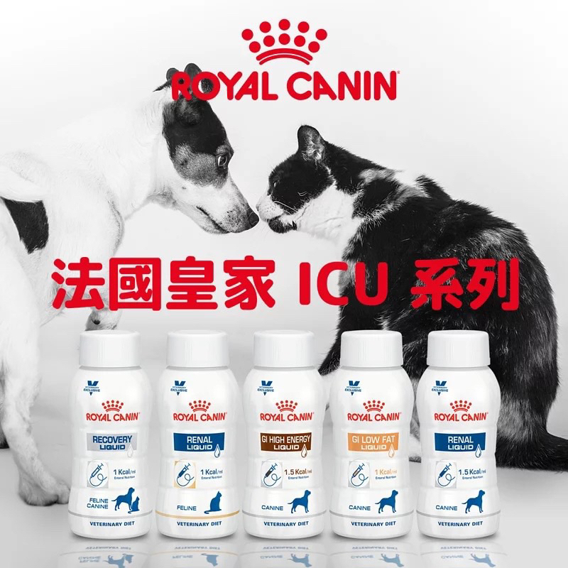 [皇家 ICU ] 皇家 貓用 ICU 腎貓 （4瓶一組單）