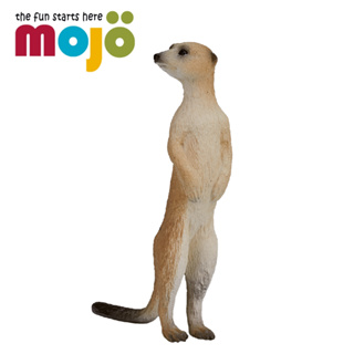 Mojo Fun動物模型-狐獴