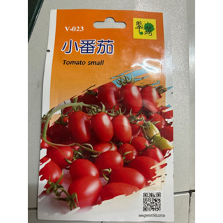 ［園藝田園小舖］蔬菜種子 小番茄