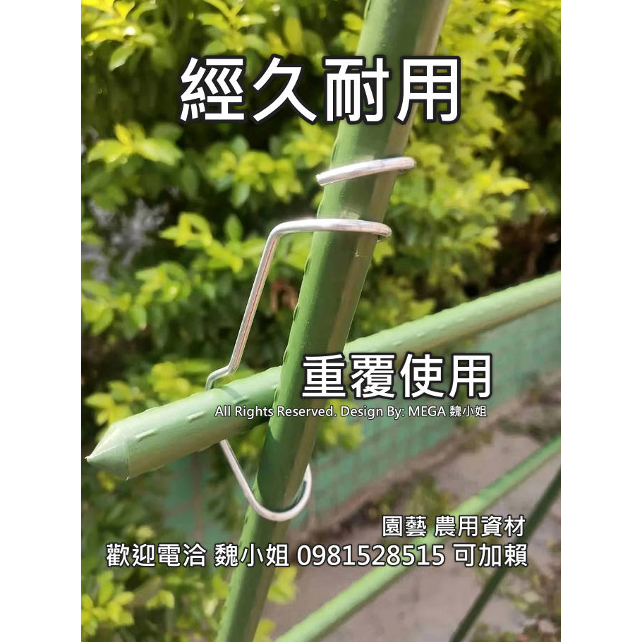 🇹🇼園藝農用資材🇹🇼可寄超取溫室棚架鍍鋅不鏽鋼材質彈簧夾卡扣鋼絲卡竹彈簧固定架卡支架十字夾二個尺寸搭棚架不須再鐵絲纏繞