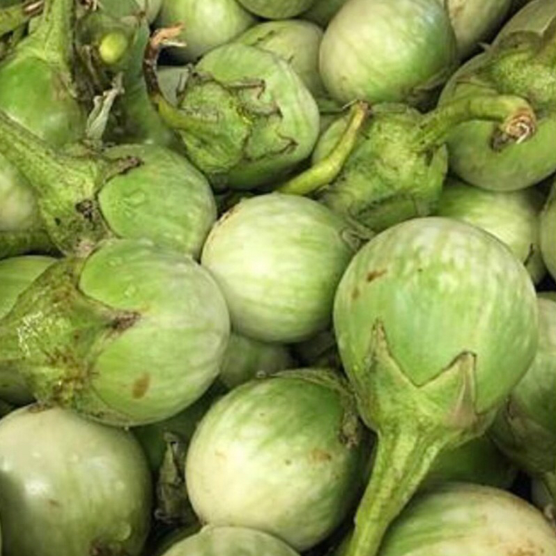 現貨 泰國茄子 當天採摘立即出貨  圓紋茄 泰國茄子 terong  Thai Eggplants 600g