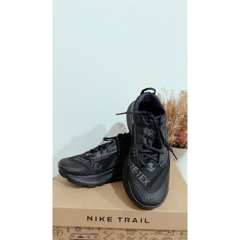 Nike 慢跑鞋 Pegasus Trail 3 GTX男鞋 全黑 （全新）