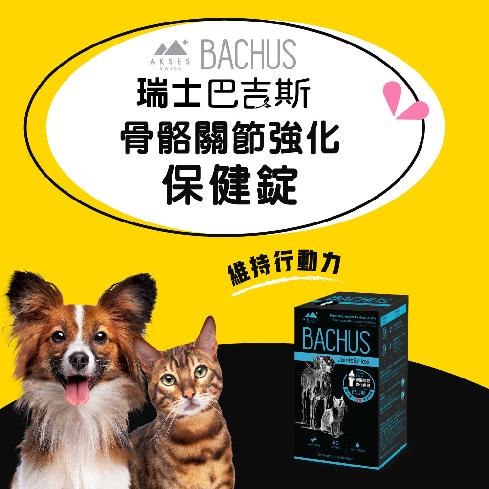 【瑞士巴吉斯Bachus】骨骼關節強化保健錠(狗貓可用)維骨力 老犬老貓骨骼關節保健 獸醫推薦