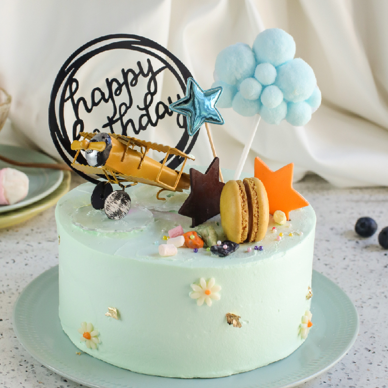 【PATIO 帕堤歐】夢想航行家 飛機蛋糕 生日蛋糕 造型蛋糕 卡通造型蛋糕  飛行員 飛機 爸爸 父親 生日禮物 蛋糕