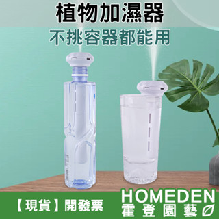 【隔日到貨】植物加濕器 大容量 龜背芋 蔓綠絨 鹿角蕨 爬蟲動物 兩段加濕 觀葉植物 雨林植物【HOMEDEN霍登園藝】