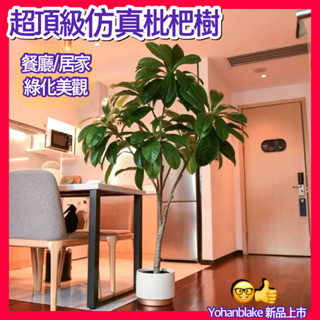 宅配免運費 民雄發貨😇仿真植物😇枇杷樹 假樹 假盆栽 室內客廳 假樹 假植物 造景植物 模擬玉蘭植物 綠植裝飾 琵琶樹
