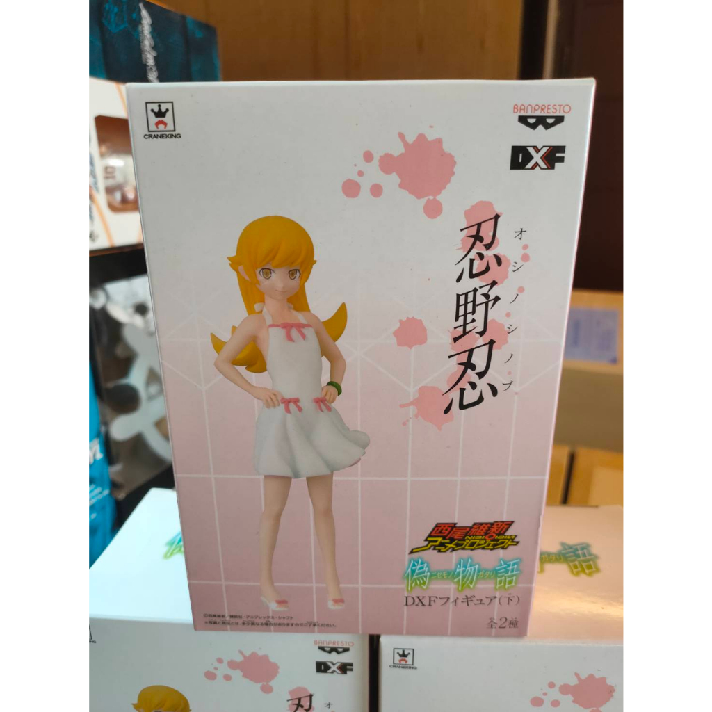 全新 日版 物語系列 西尾維新 DXF 景品 忍野忍 小忍 小洋裝