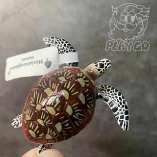 現貨 日本Miniatureplanet 綠蠵龜 海龜 瀕臨絕種 動物系列 模型 公仔 盤古PLAY GO