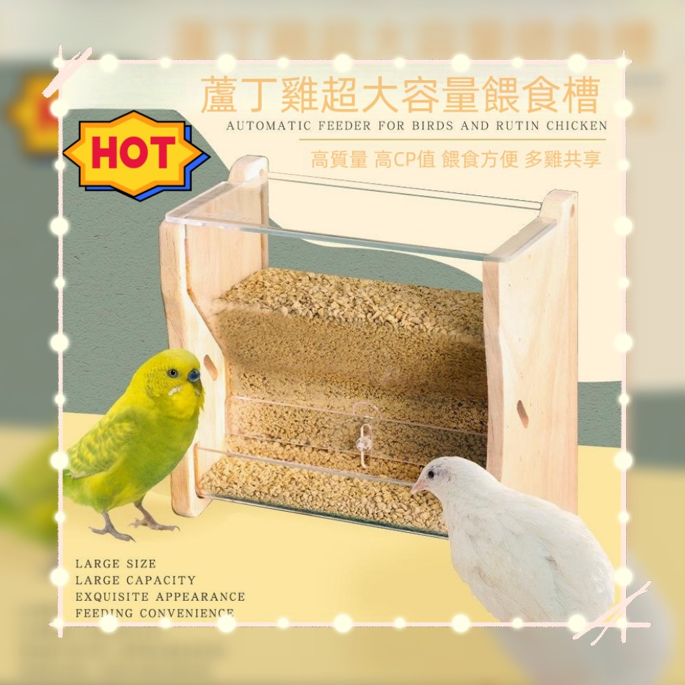 蘆丁雞實木大容量餵食器 自動食槽 鸚鵡鳥用玄鳳下料食盒 食盆飼料飼養用品