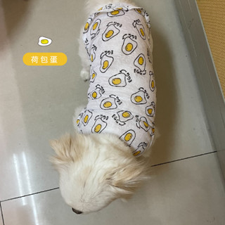 *吉白白* 臺灣現貨 寵物薄背心 狗狗春夏 狗狗背心 涼背心 透氣背心 涼夏背心 狗狗服布 狗狗衣服狗狗夏天 貓咪衣服