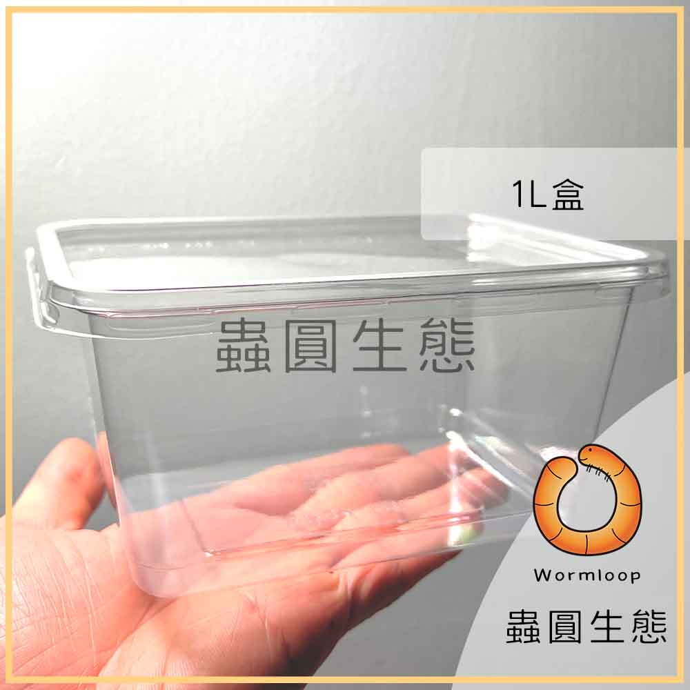 [Wormloop蟲圓生態] 1L 塑膠盒 飼養盒