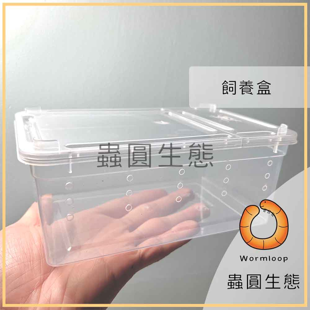 [Wormloop蟲圓生態] 爬蟲 飼養盒 塑膠盒 掌上明蛛