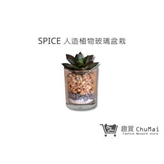 【SPICE】人造綠色植物-玻璃盆栽 多肉人造植物 免打理綠植 多肉擺飾 辦公室植栽 懶人 假盆栽｜趣買購物旅遊生活館