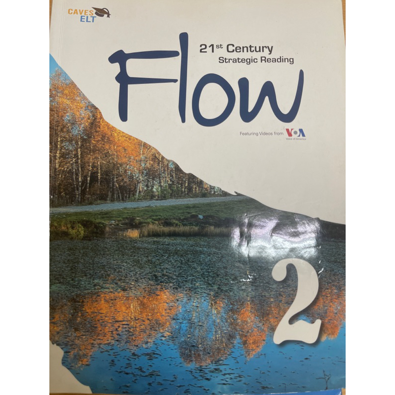 Flow 21st Century  Strategic Reading
