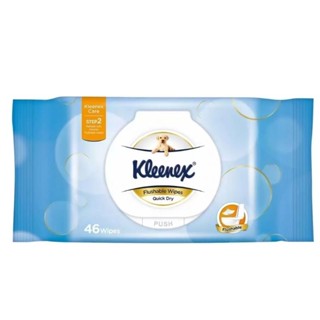 現貨 好市多 Kleenex 舒潔 濕式衛生紙46抽 抽取式 可丟馬桶
