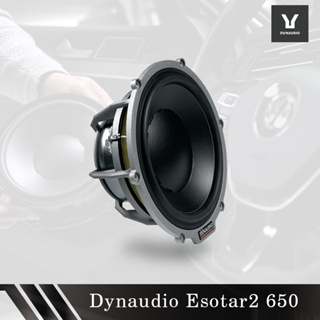 丹麥 Dynaudio 丹拿 Esotar2 650 低音單元