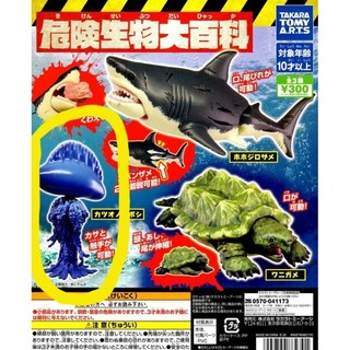T-ARTS扭蛋 危險生物大百科-僧帽水母