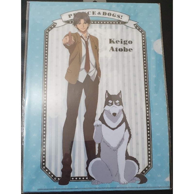 網球王子 資料夾 L夾 跡部景吾 白石藏之介