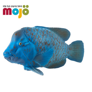 Mojo Fun動物模型-古氏藍唇魚