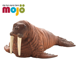 Mojo Fun動物模型-海象