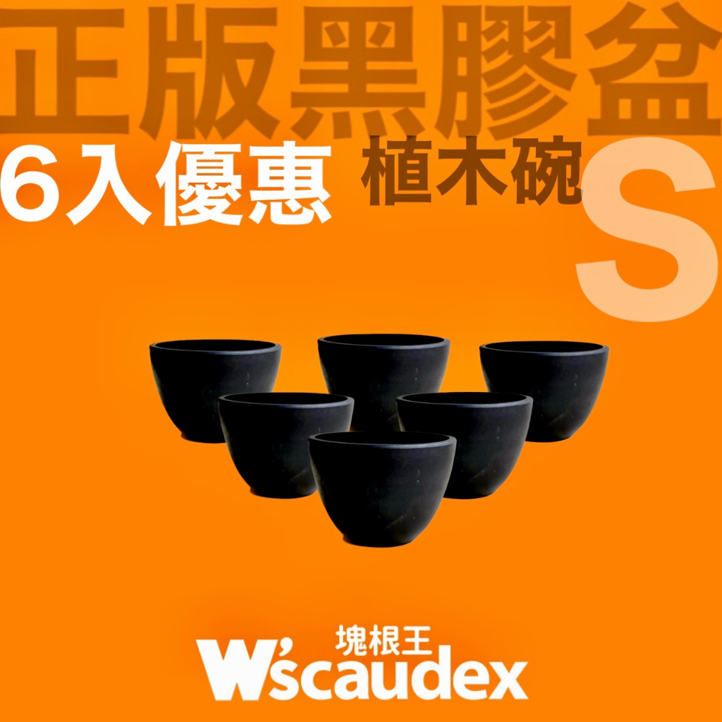 塊根王 正版 黑膠盆 植木碗 S (6入優惠組) 塊根 多肉植物專用 盆器 花盆