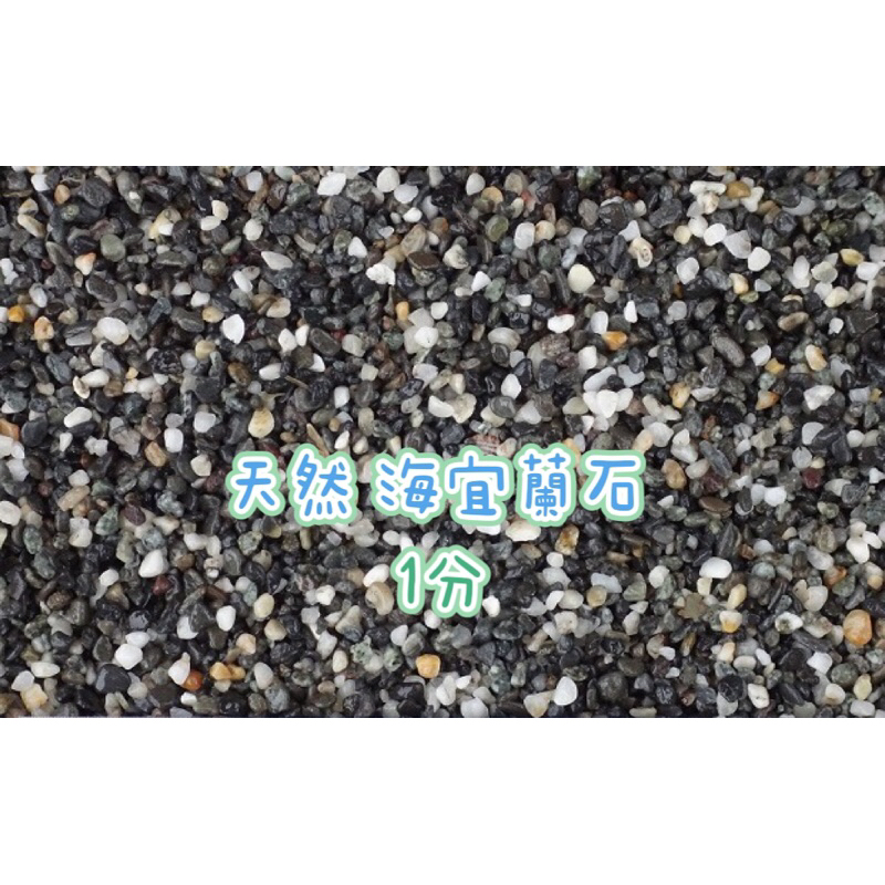 🌟現貨🌟天然 海宜蘭石 1分 1分2 抿石子 宜蘭砂 過濾砂 鋪底