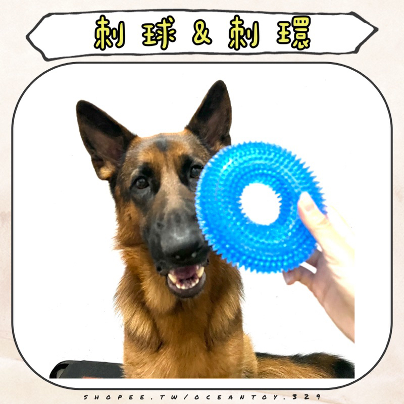 ｜OCEANDOG｜現貨 TPR寵物發聲彈力玩具 刺球 刺環 磨牙啃咬 寵物玩具 狗狗玩具