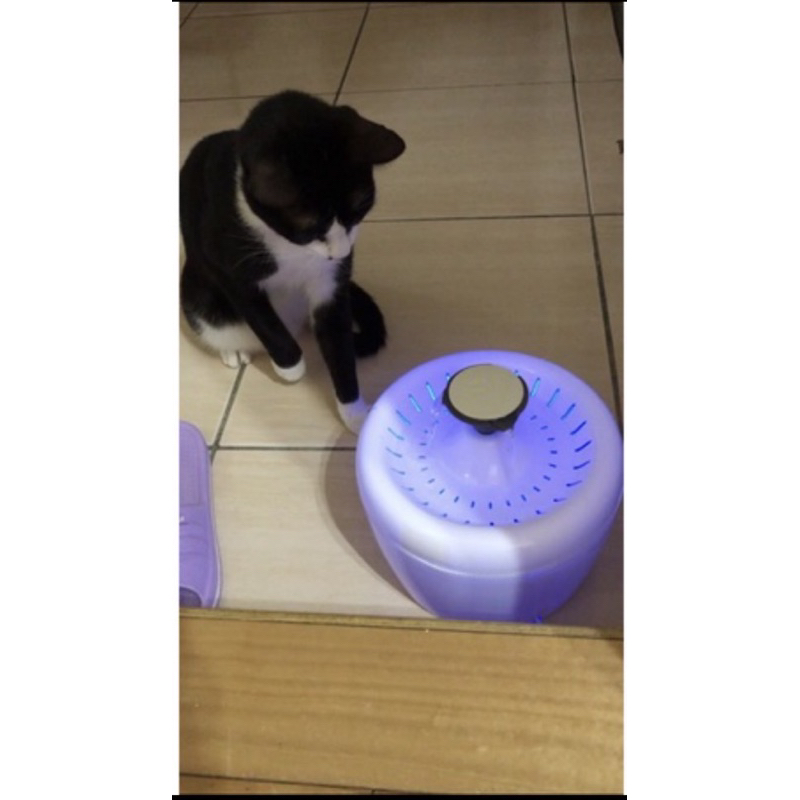 【AOTTO】簡約造型智能寵物飲水機