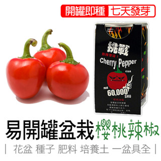 櫻桃辣椒 辣椒盆栽 iPlant 易開罐頭盆栽 香草盆栽 花卉農場 懶人盆栽 種子 香草植物 臺灣製