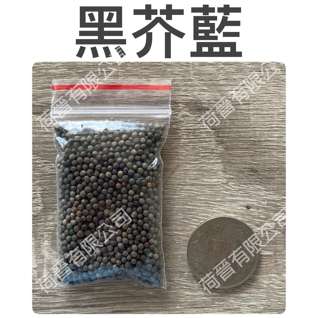 黑芥藍種子15公克(約3700粒) 芥藍菜種子