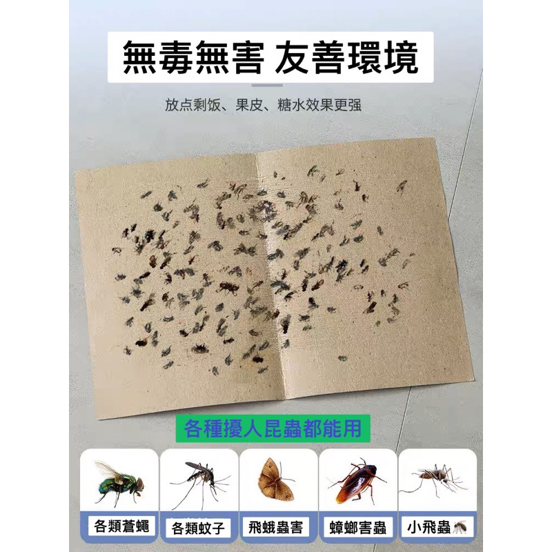 黏蠅板 捕蠅紙 誘蠅紙 捕蠅板 捕蠅器 黏蟲板 雙面黏蟲板 黏蠅 果蠅誘捕器 蒼蠅紙 除蟲