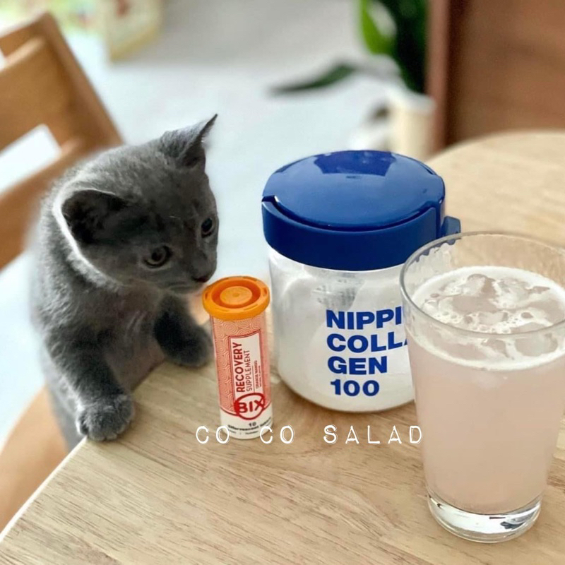 現貨 預購🔅日本 🇯🇵nippi collagen 100膠原蛋白 罐子 密封罐 質感 粉 nippi