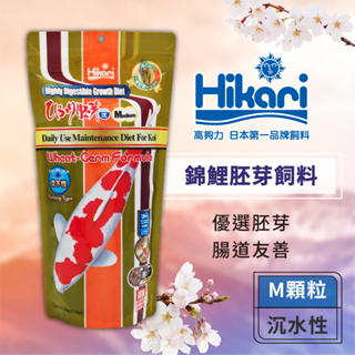 Hikari 高夠力 錦鯉胚芽飼料 500g 適用於錦鯉及大型金魚 經濟實惠 健康消化