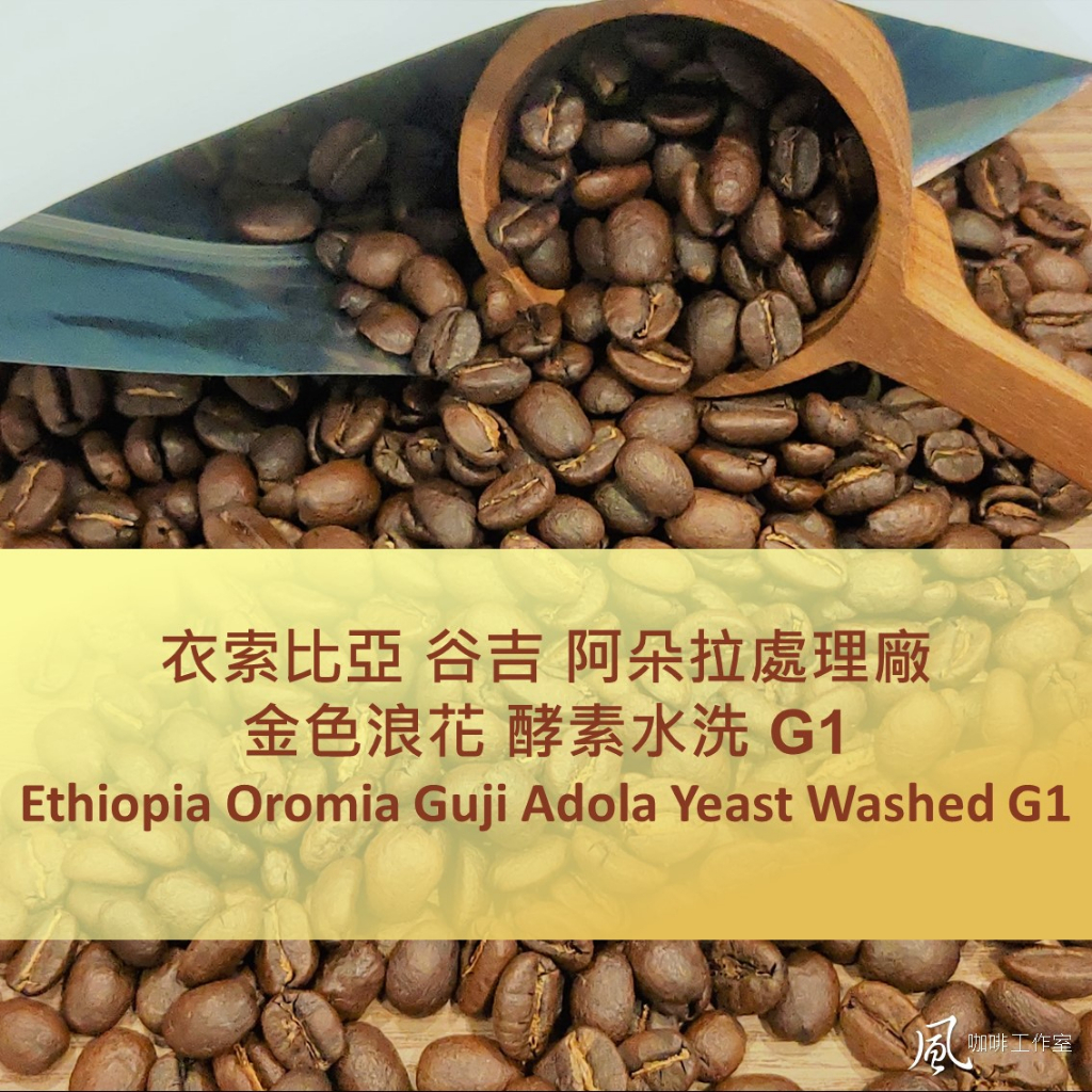 [風咖啡工作室]衣索比亞 古吉 阿朵拉 金色浪花 酵素水洗 2022新產季 自家烘焙 莊園精品 手沖咖啡豆
