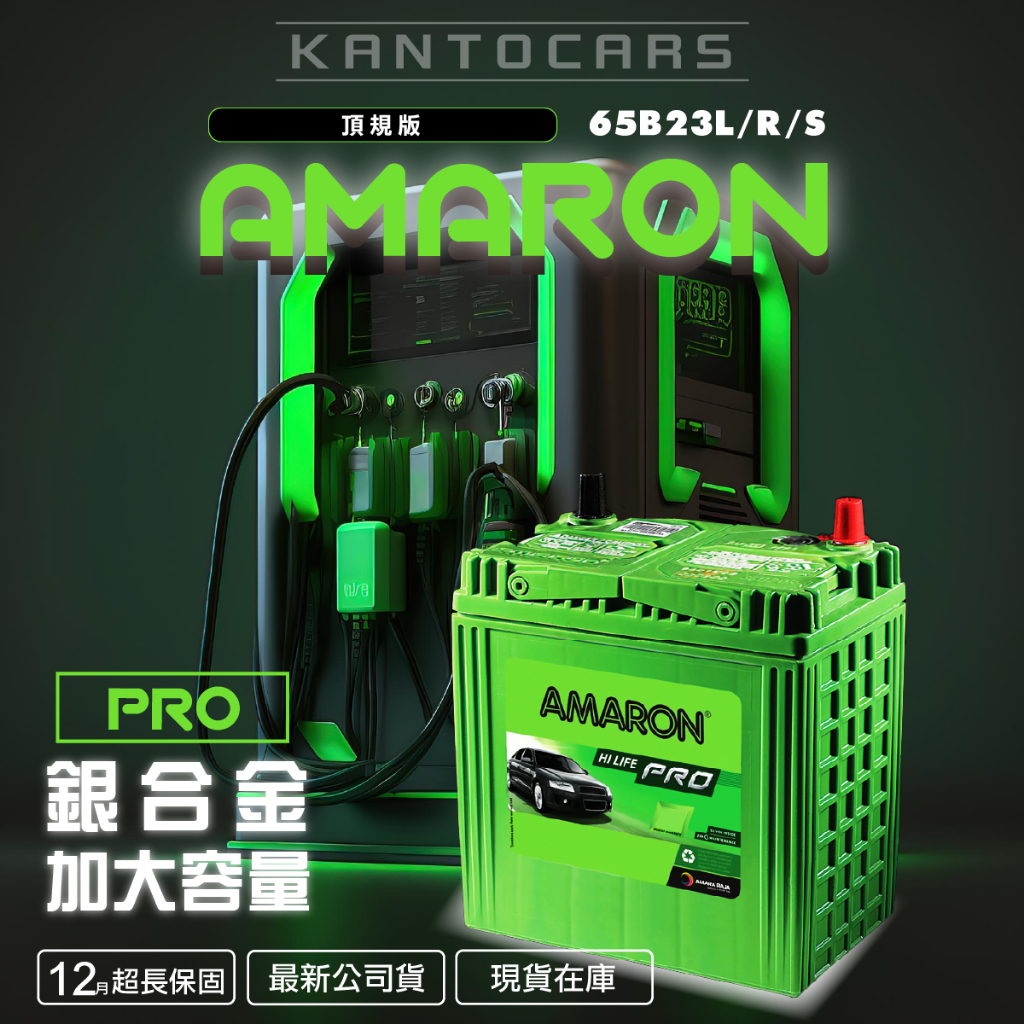 【店保12個月】公司貨 愛馬龍 65B24LS AMARON PRO R S 加強版 銀合金 Silver 深循環 電池