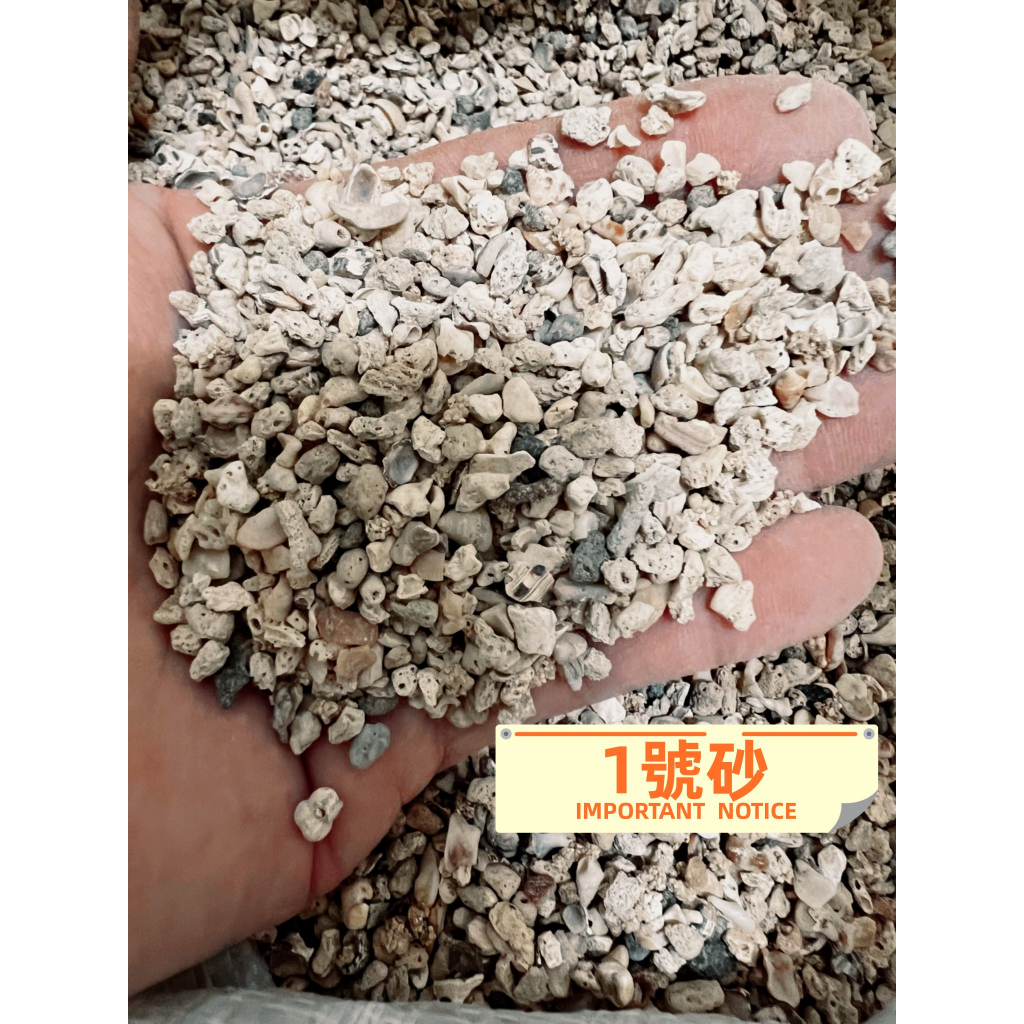 天然珊瑚砂 魚缸底砂，珊瑚砂 珊瑚骨 魚缸底砂 海灘砂 菲律賓砂
