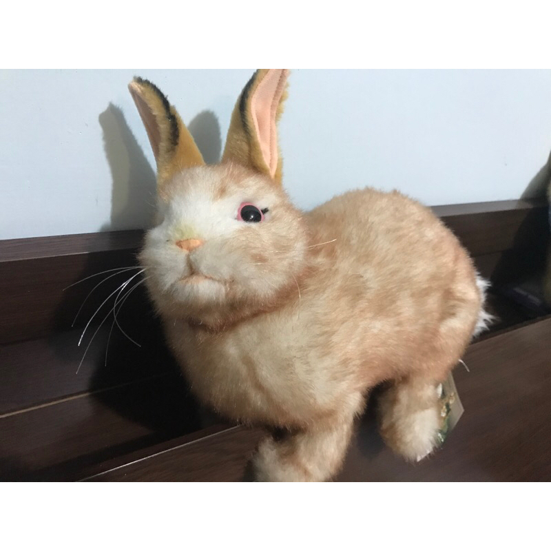 兔子 Hansa creation 石尚 玩偶 布偶 娃娃 絨毛玩具 動物 公仔 兔寶寶 兔年