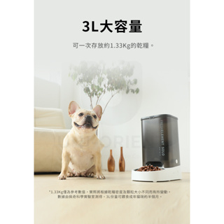 附保固卡PETKIT 佩奇智能寵物餵食器SOLO 台灣總代理公司貨