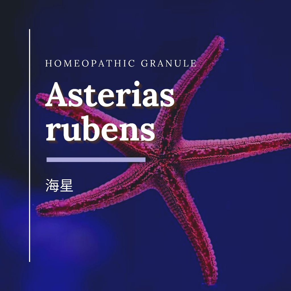 順勢糖球【海星●Asterias rubens】Homeopathic Granule／單方