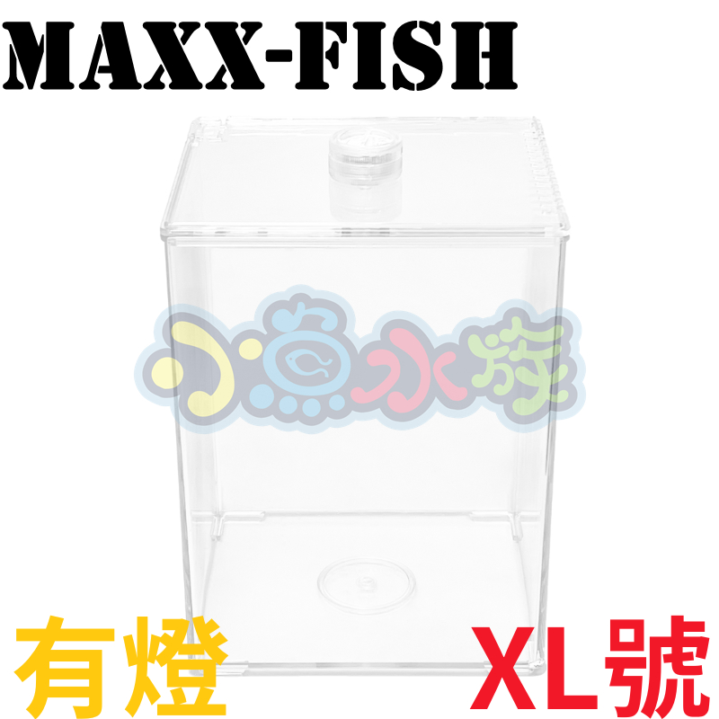 【小魚水族】【XL號、有燈款】超白缸 壓克力缸 拍照缸 懶人魚缸 鬥魚缸 孔雀缸 小魚缸