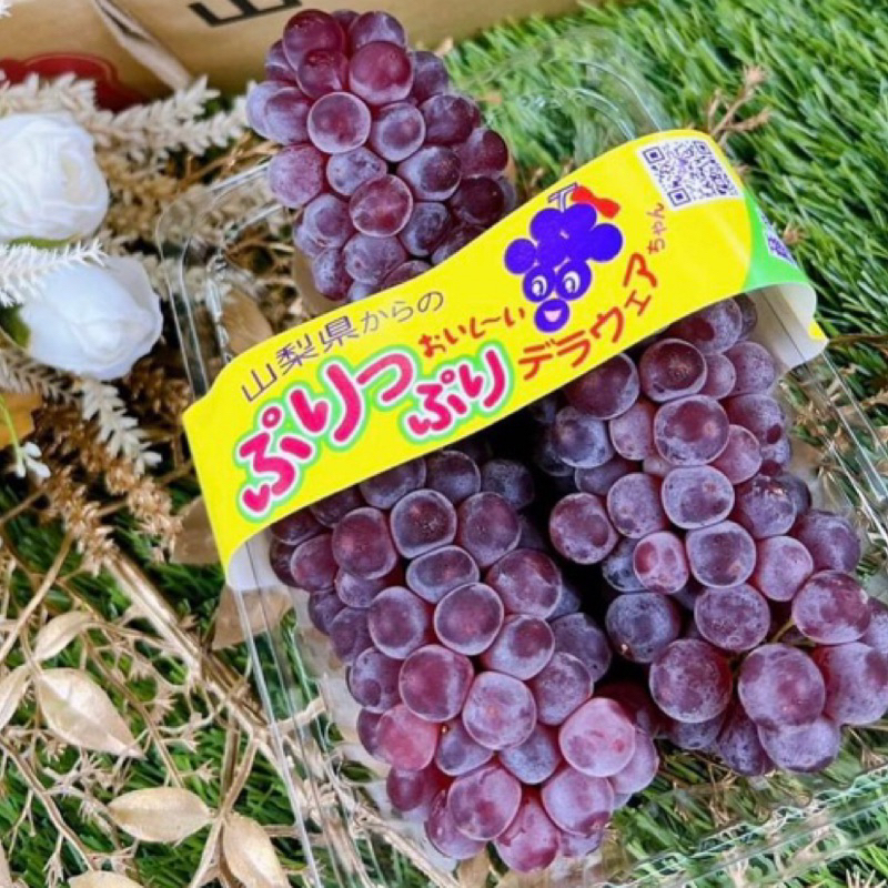 《水果研究室》日本🇯🇵島根溫室珍珠葡萄🍇 日本香檳葡萄 島根香檳葡萄 頂級葡萄 進口葡萄 島根葡萄 進口禮盒 進口水果