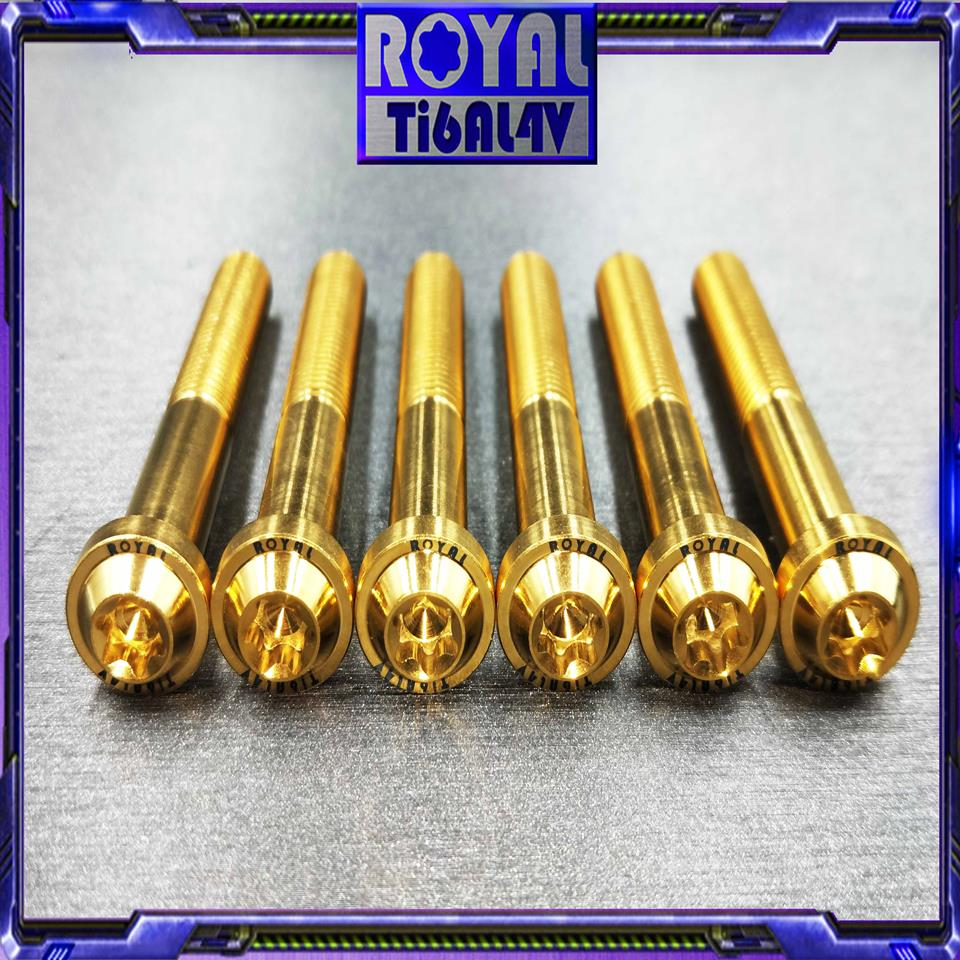 【瘋螺絲】ROYAL鈦合金螺絲★M10*75F P1.5  64正鈦螺絲★CNC鍛造內梅花.內星型螺絲★土豪金